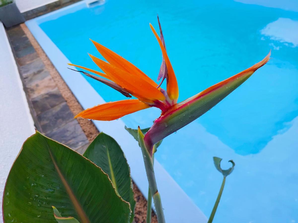 Golden Square Villa & Private Pool Flic en Flac Экстерьер фото